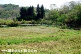 新竹縣寶山鄉 寶山便宜農地-住商頭份中央店037-669966農地 新竹縣寶山鄉 寶山便宜農地-住商頭份中央店037-669966農地